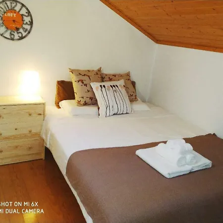 Center Loft- Bica *
